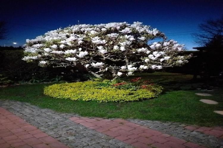 Cozy Apartment 600M From The Sea, Miedzyzdroje Εξωτερικό φωτογραφία